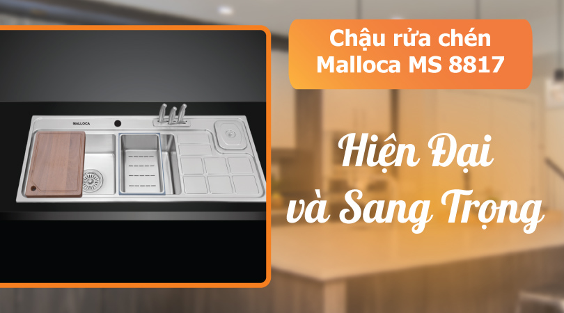 Chậu rửa chén Malloca MS 8817